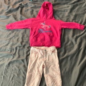 4T pink hoodie and pink  pants